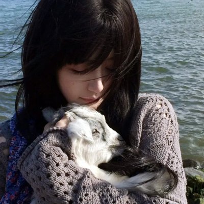 神户来信 海报