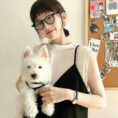 龙仁记者 海报
